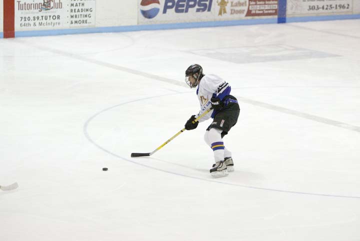 hockeyarv04.jpg